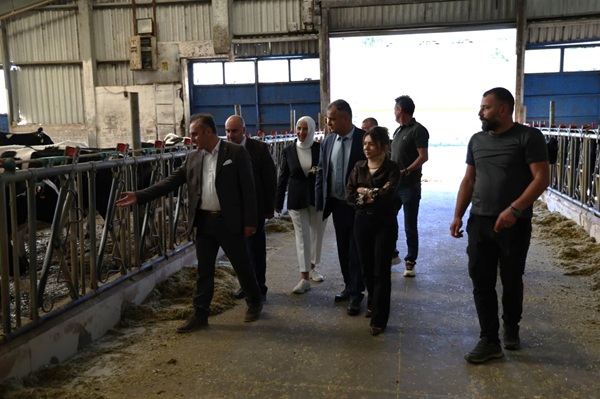 Rektör Yıldız'dan Doğan Organik Besi İşletmesi ve Fil Otu Ekim Sahası Ziyareti